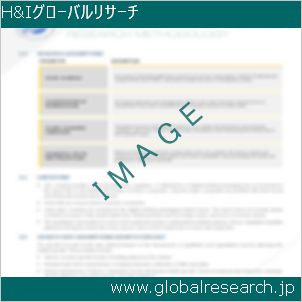 グローバルリサーチ調査レポートのイメージ